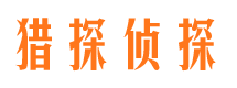 月湖市私家侦探